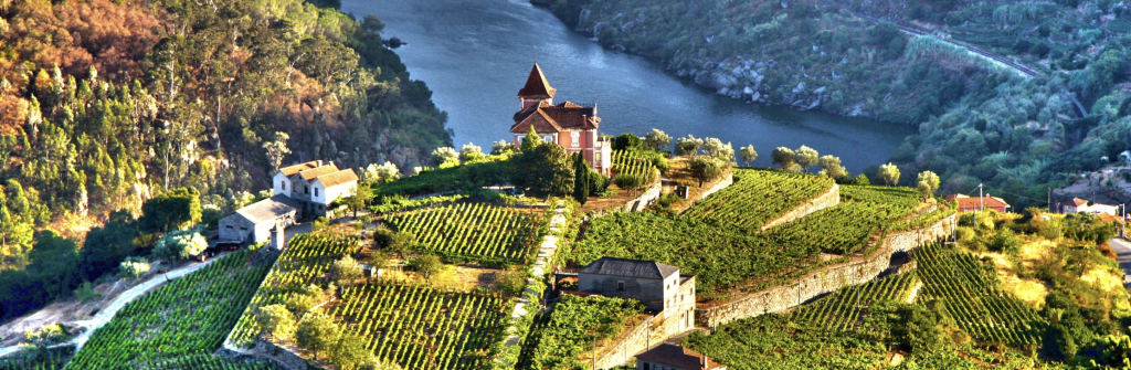 Douro River Cruise in Portugal